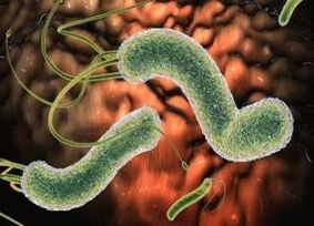 Virus e batteri